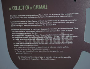 La collection de Caumale